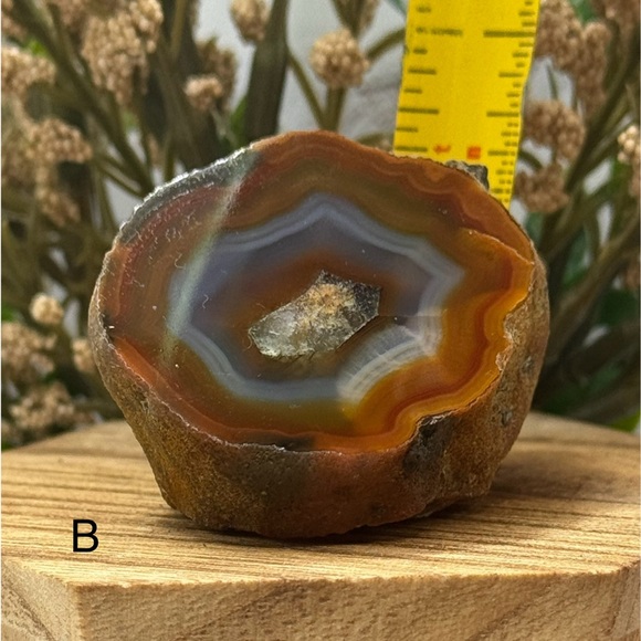 Coyamito Agate from Chihuahua Mexico - Picture 7 of 8